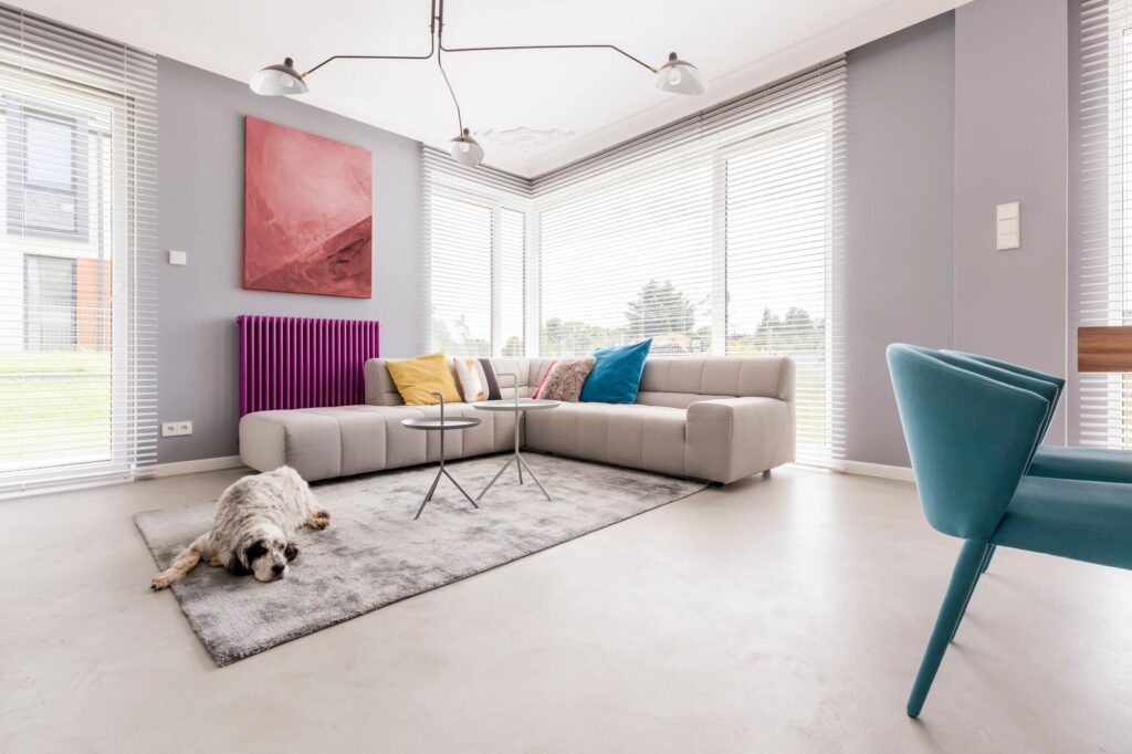 dog-in-a-house-interior